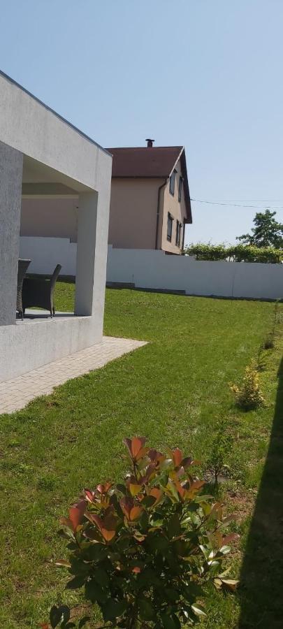 Vila Andrea Oradea Zewnętrze zdjęcie